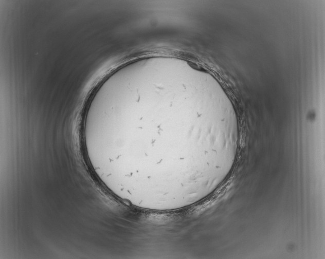 X0000116890341201001121348