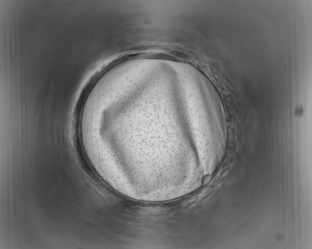 X0000116890342201001121348