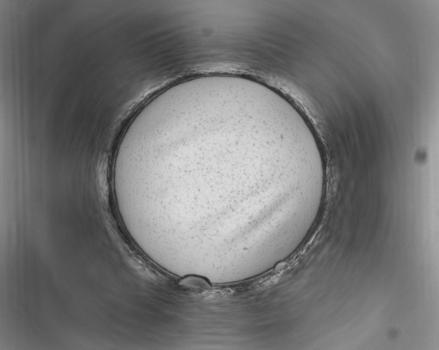 X0000116890345201001121348