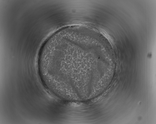 X0000116890346201001121348