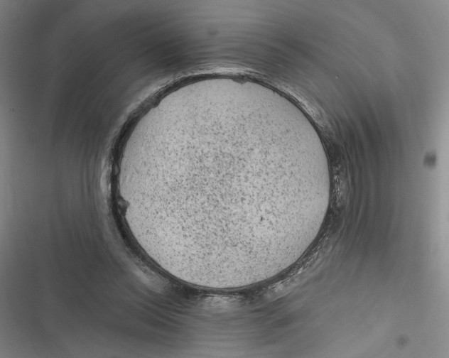 X0000116890350201001121348