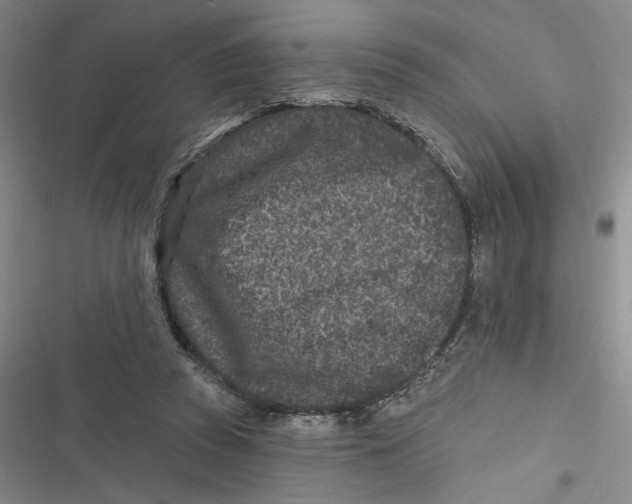 X0000116890353201001121348