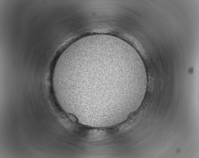 X0000116890354201001121348