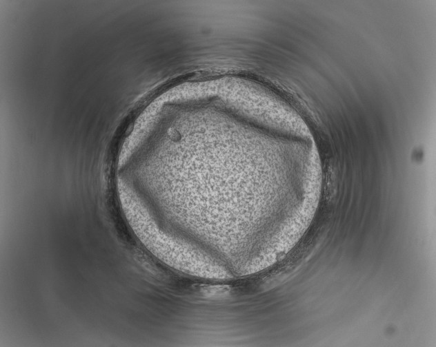 X0000116890355201001121348