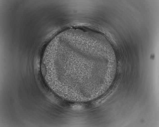 X0000116890358201001121348