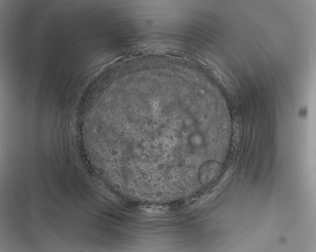 X0000116890359201001121348