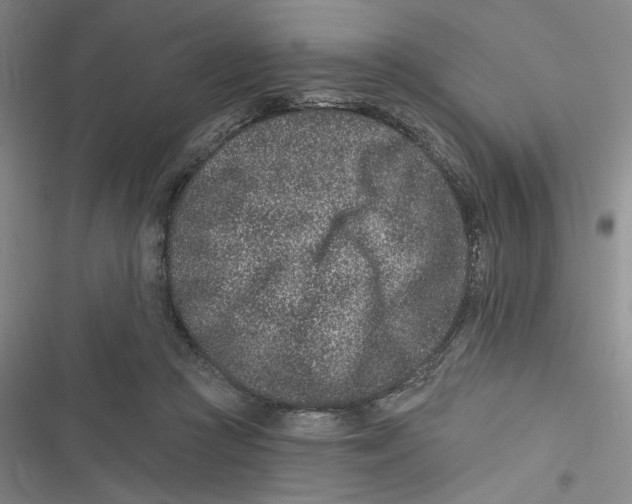 X0000116890361201001121348