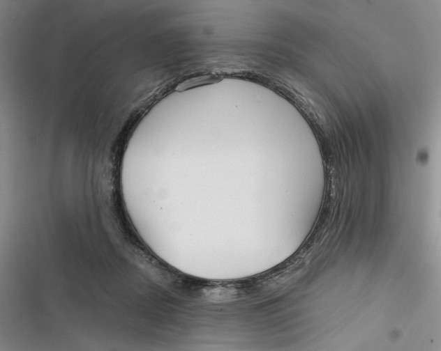 X0000116890362201001121348