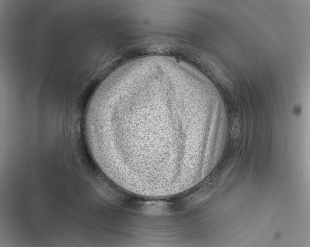 X0000116890363201001121348