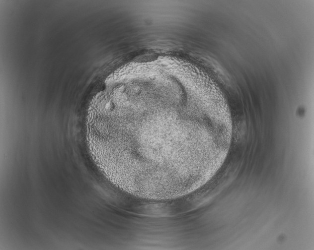 X0000116890365201001121348