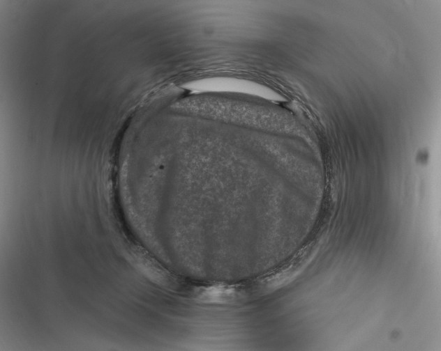 X0000116890366201001121348