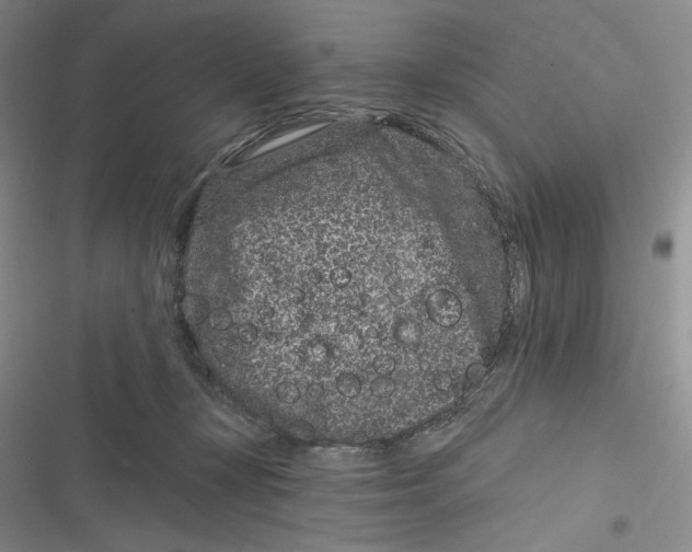 X0000116890367201001121348