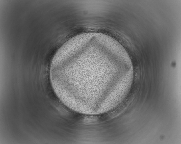 X0000116890369201001121348