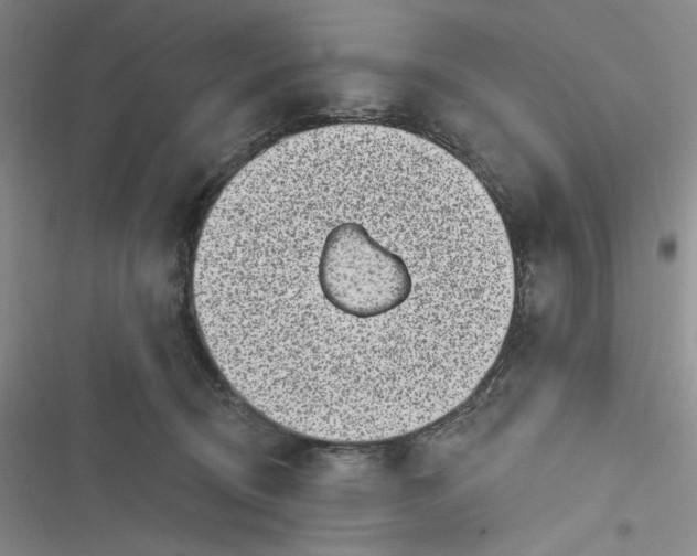 X0000116890370201001121348