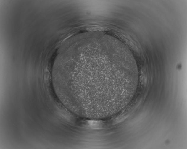 X0000116890371201001121348