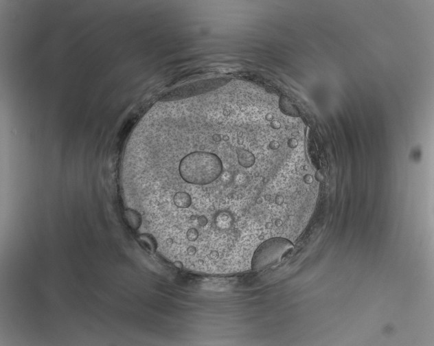 X0000116890373201001121348