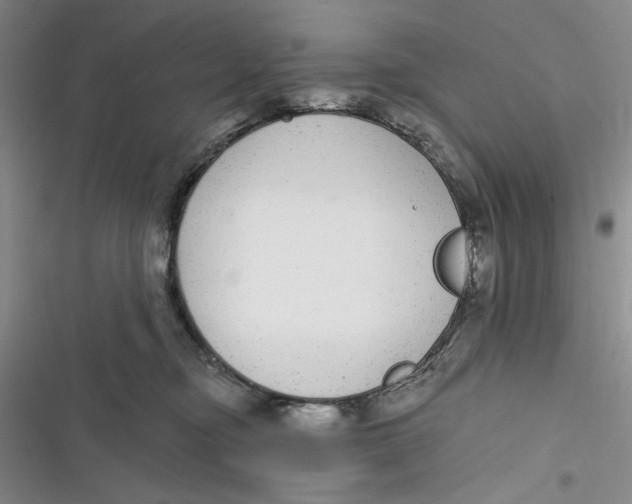 X0000116890374201001121348