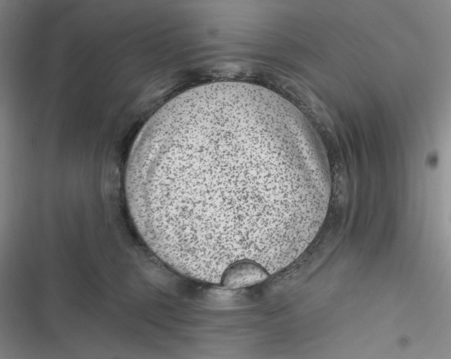 X0000116890375201001121348