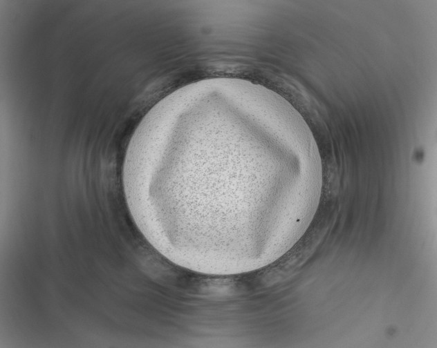 X0000116890377201001121348