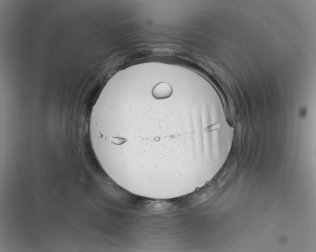 X0000116890379201001121348