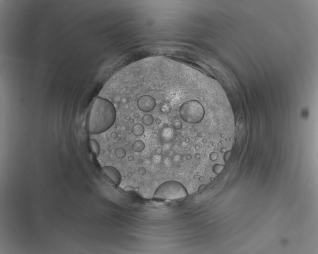 X0000116890381201001121348