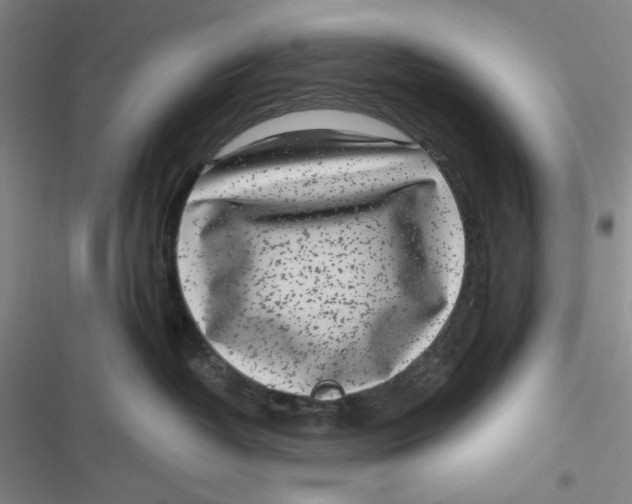 X0000116890382201001121348