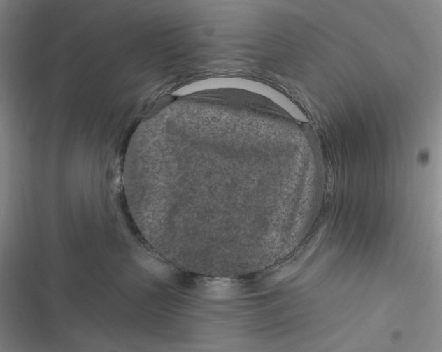 X0000116890383201001121348