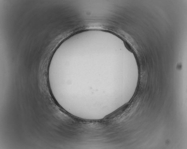 X0000116890385201001121348