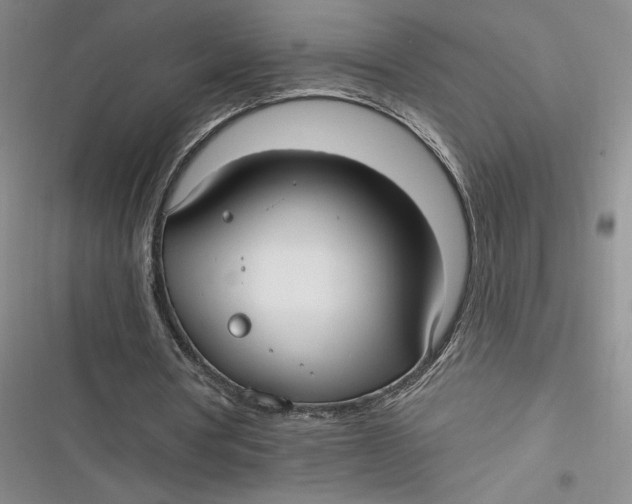 X0000116890386201001121348