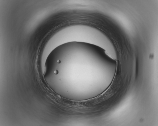 X0000116890387201001121348