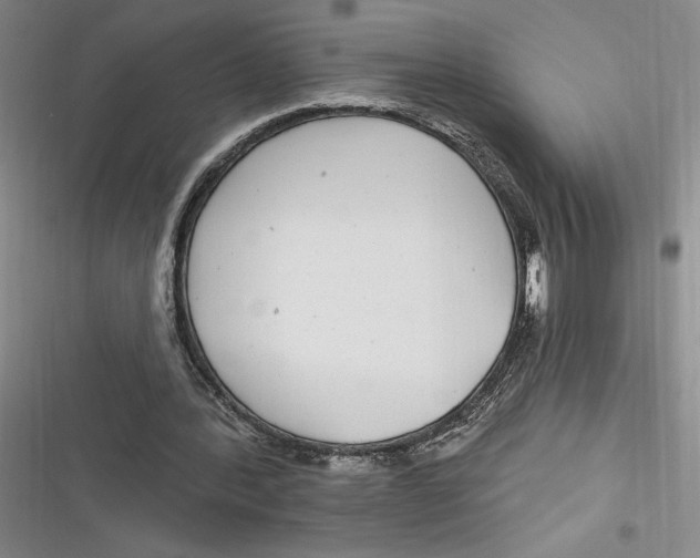 X0000116890388201001121348