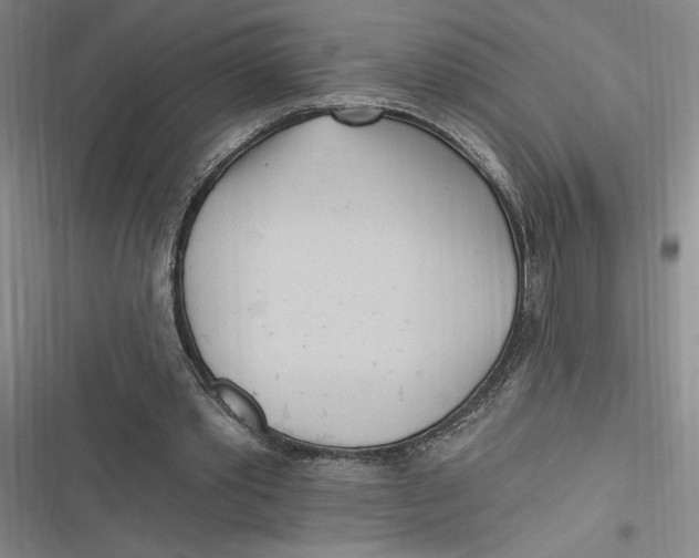 X0000116890389201001121348