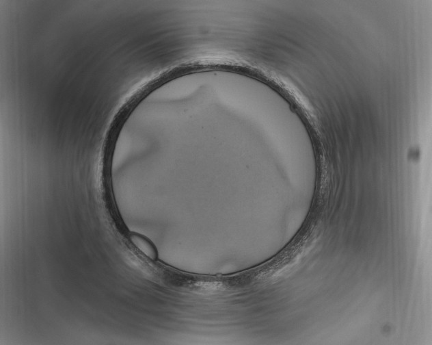 X0000116890391201001121348