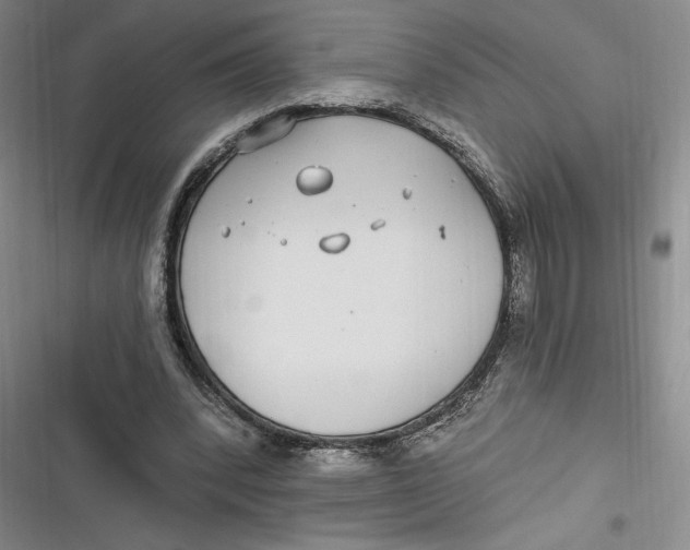 X0000116890392201001121348