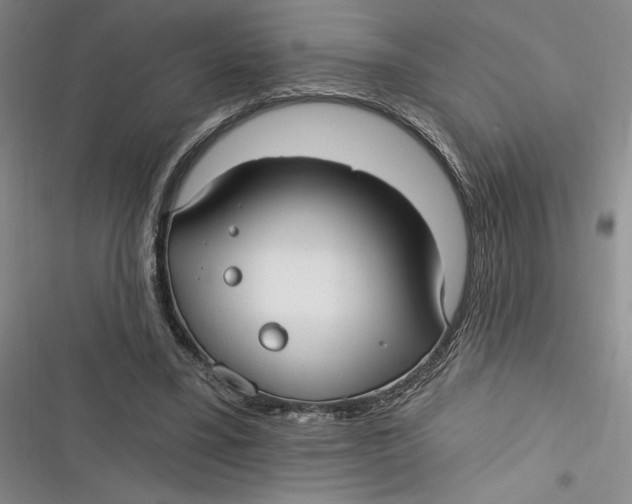 X0000116890395201001121348