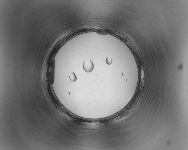 X0000116890396201001121348