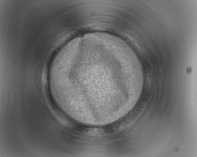 X0000116890398201001121348