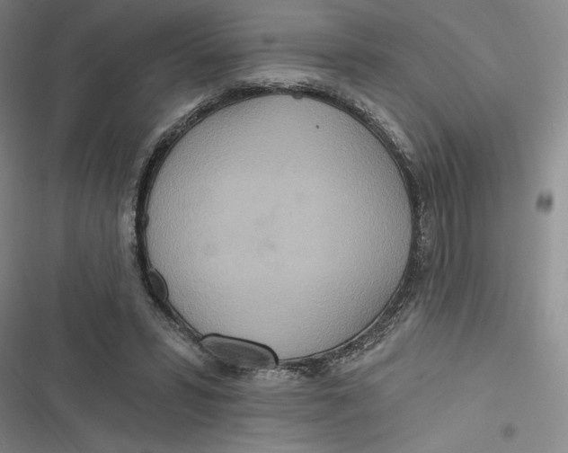 X0000116890399201001121348