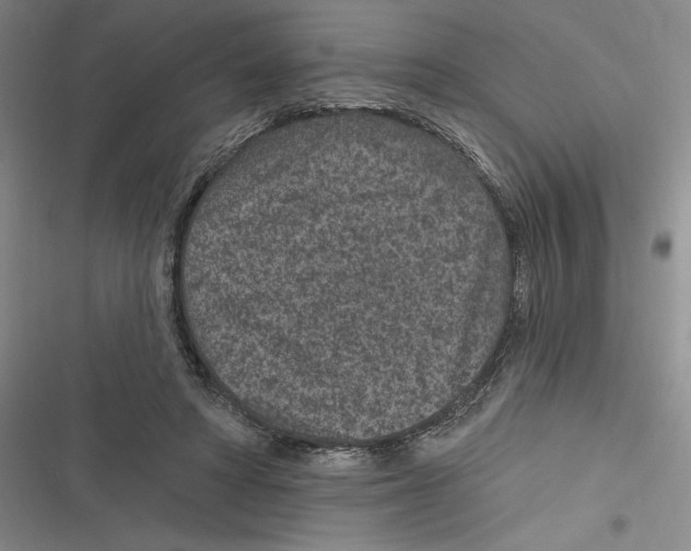 X0000116890402201001121348