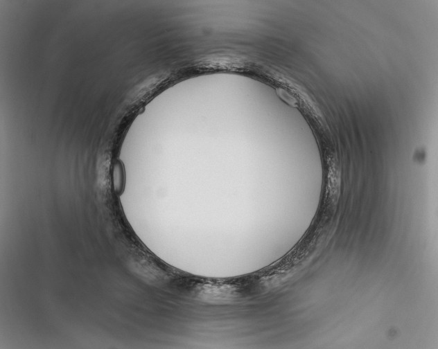 X0000116890403201001121348