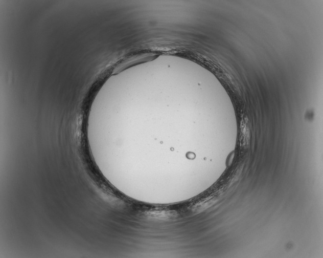 X0000116890404201001121348