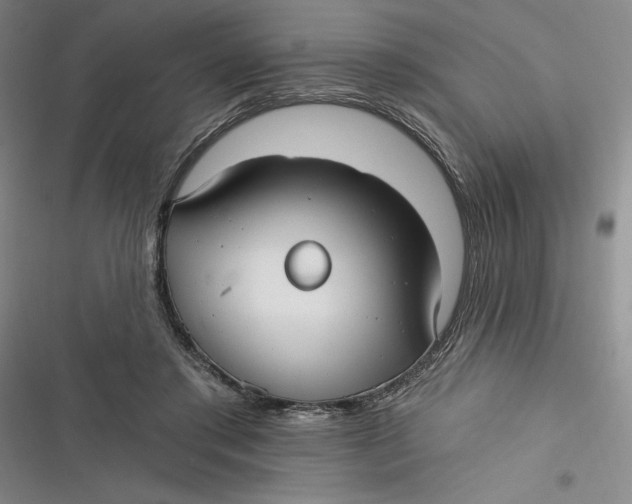 X0000116890405201001121348