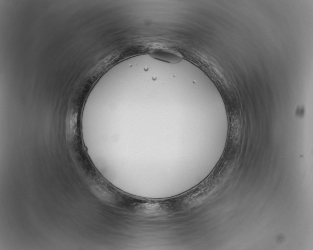 X0000116890406201001121348