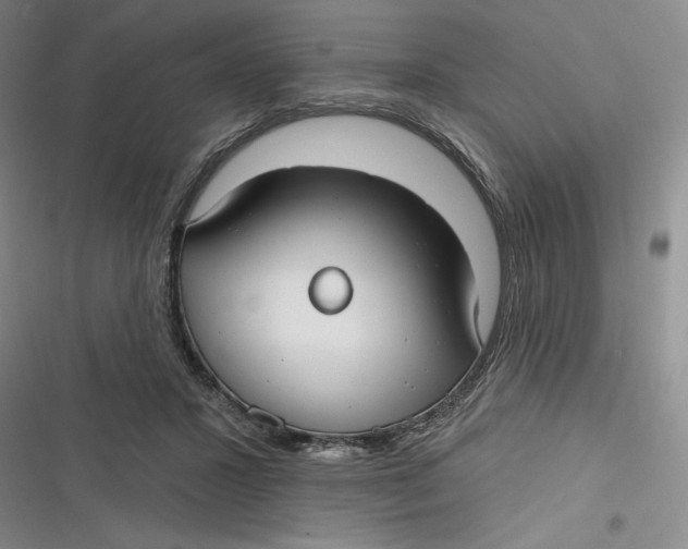 X0000116890407201001121348