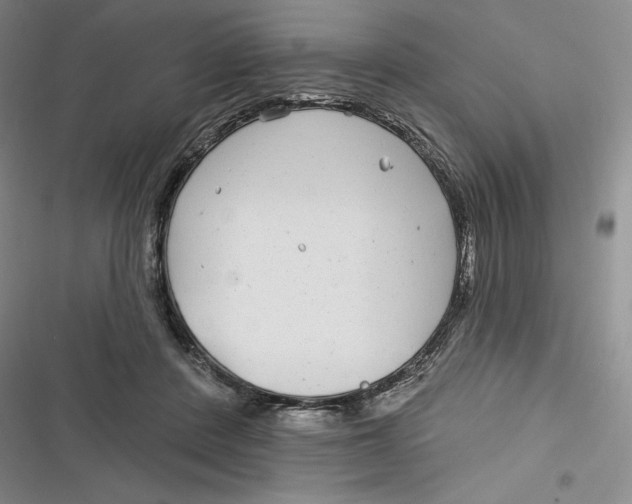 X0000116890408201001121348