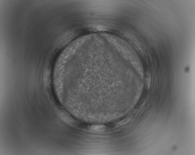 X0000116890410201001121347