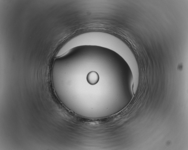 X0000116890411201001121347