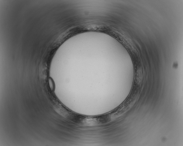 X0000116890413201001121347