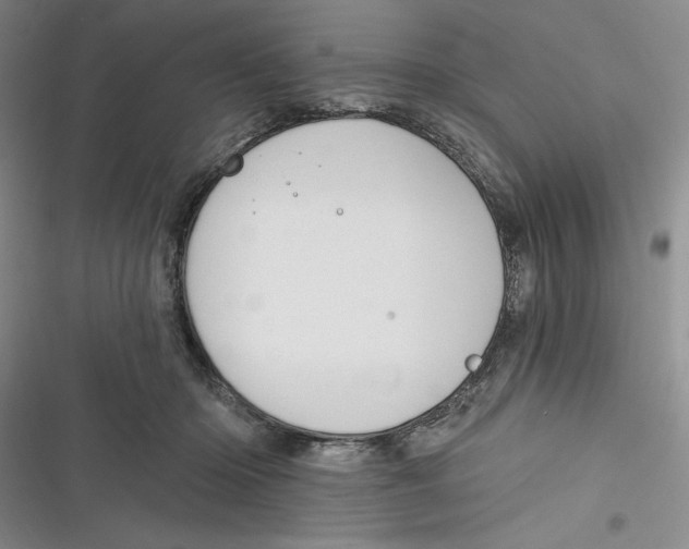 X0000116890414201001121347