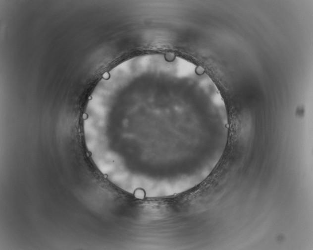 X0000116890415201001121347